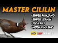 Download Lagu Jernih poool !! MASTERAN CILILIN PANJANG SUPER JERNIH‼️