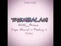 Download Lagu Thembalami ( AmaPiano )