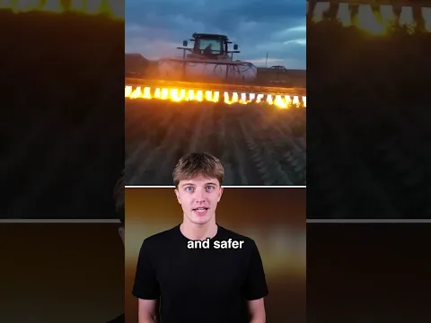 Crazy Ideas That Actually Worked