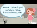 Download Lagu Pengaruh Lingkungan Part 2