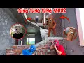 Download Lagu Tung Tung Tung Sahur \u0026 Espressona Signora Vs 4 Pro Spider Man | A Spectacular Getaway ( Scary POV)