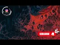 Tinlicker - Fractal