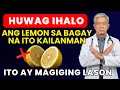 Lagu BABALA NG MGA DOKTOR‼️ HUWAG KAILANMAN IHALO ANG LEMON SA TATLONG PAGKAING ITO‼️ | SENIOR MASAYA
