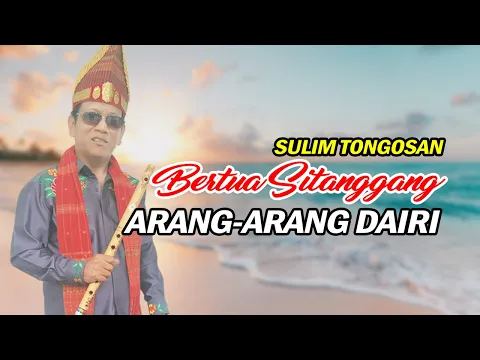 Download MP3 Arang - Arang Dairi Versi Bertua Sitanggang Sulim Tongosan dan Sarune