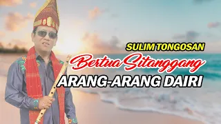 Download Arang - Arang Dairi Versi Bertua Sitanggang Sulim Tongosan dan Sarune MP3