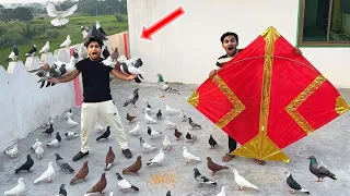 Flying Umar Pakistani Kite Catch With Free Lucky Kabooter Vs $30000 