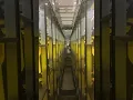 UIS Amazon GYR3 Arizona