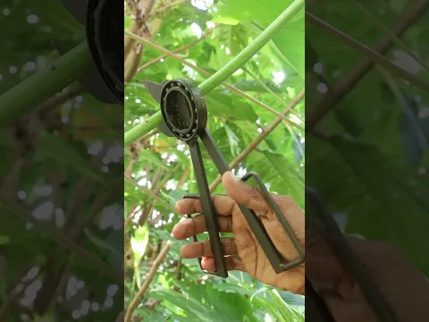 DIY Garden Pruner from an Old Bearing & Scrap Metal! 🌿✂️🔥