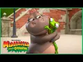 Lagu Glória Aprende a Ser Ela Mesma 🐸 | DreamWorks Madagascar em Português