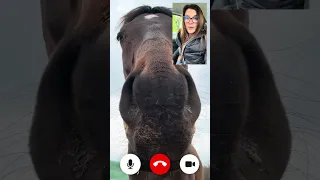 Boltból valami?🍎🥕🐴
