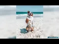 Australian Shepherds being the cutest and funniest dogs for 6 minutes straight