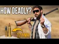 How Deadly Is 17 HMR? (Super Small Varmint Round)