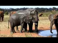 Download Lagu De boer die de dorstige dieren van de savanne te drinken geeft