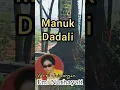 Lagu LAGU MANUK DADALI VERSI JAIPONGAN IBU EMI NURHAYATI #jaipongan @Kangdedicosmo