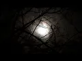 Lady of The Moon