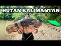 Download Lagu Camping Hujan deras 1 Minggu di Hutan Kalimantan Bertahan hidup cuaca buruk Fishing Camp Bushcraft