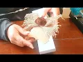Invitaciones de 15 anos vaquero