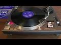 Lost It.com ‎– Animal (Trance Mix) Perfecto ‎– PERF013T