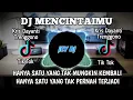 DJ HANYA SATU YANG TAK MUNGKIN KEMBALI REMIX | FULL BASS TERBARU VIRAL TIK TOK