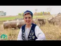 Lagu PREMIERĂ – Nicoleta Voica – „Cine nu știe de dor” | Videoclip Oficial
