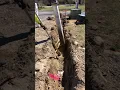 Daylighting underground utilities