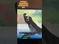 Download Lagu The Monkeys had adducted Mowgli