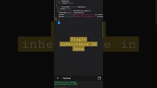Single Inheritance in java Programming