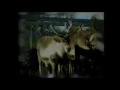 Download Lagu Nyheter från TV4 Botnia 1996-05-03.