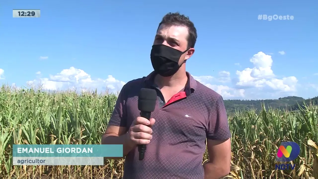 Agricultura: Estiagem causa prejuízo geral no agronegócio catarinense