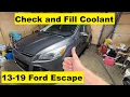 Check and Fill Coolant Ford Escape 13 14 15 16 17 18 19 2013 2014 2015 2016 2017 2018 2019