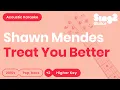 Download Lagu Shawn Mendes - Treat You Better (Higher Key) Karaoke Acoustic