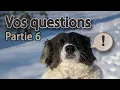 Download Lagu Jouw vragen: Bouw en constructie – FAQ 6
