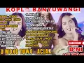 Lagu Dini Kurnia - AYANG -AYANG - EGO WOMG TUWO - ACLAK || MUSIC KOPLO BANYUWANGI