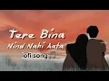 Lagu Tere Bina Nind Nahi Aati | Lofi Music | New Bollywood Romantic Song | SoulfulHindi Song 🎵 lofi songs