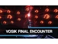 Wrath Of The Machine Raid Guide - Vosik Final Encounter