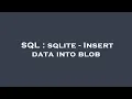 SQL sqlite - Insert data into blob