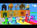 Long Slide Game with Cow Elephant Gorilla Hippopotamus Tiger 3d Animal Game Funny 3d Animals