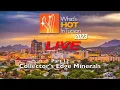 Collector s Edge Minerals - What s Hot In Tucson 2023