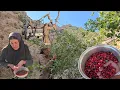 Download Lagu lRAN nomadic life: Jahangir's journey to the forest to harvest wild cherries in the mountains