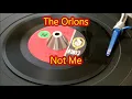 Orlons -  Not Me  (1963)