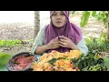 Download Lagu LIWET IKAN SARDEN!! TIDAK AMIS MALAH BIKIN NAGIH 