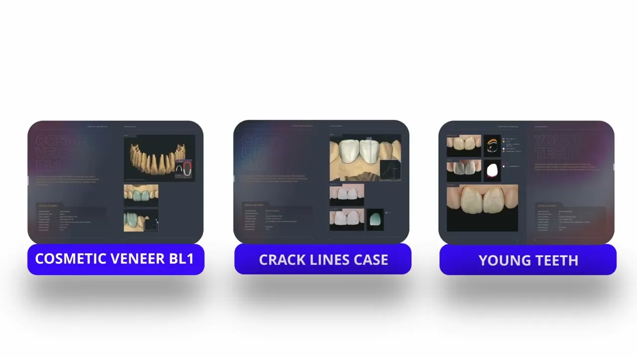 Cinematographer / Editor / Colorist