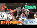 Download Lagu 後ろの子が気になって何度も振り向いちゃうハイティーちゃん