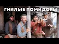 Download Lagu Гнилые помидоры | Блэк Джек (1968) — Смотреть в полном HD качестве с русской озвучкой!