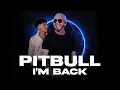 PITBULL CONCERT