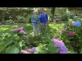 Parrish Rabon s Garden