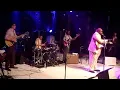 You Just Cheat and Lie - Arthur Adams Live At The Beautiful Swamp Blues Festival April 2015