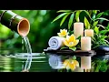 ASMR | Bamboo Soothing Relaxing Music Relieve Stress🌿Instantly Peace of Mind, Deep Sleep Music