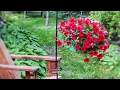 Ground Auger Shepard Hook - Garden Tools