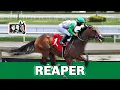 REAPER Breaks Maiden On Debut At Gulfstream Park Royal Palm Juvenile Royal Ascot Meet Up Next